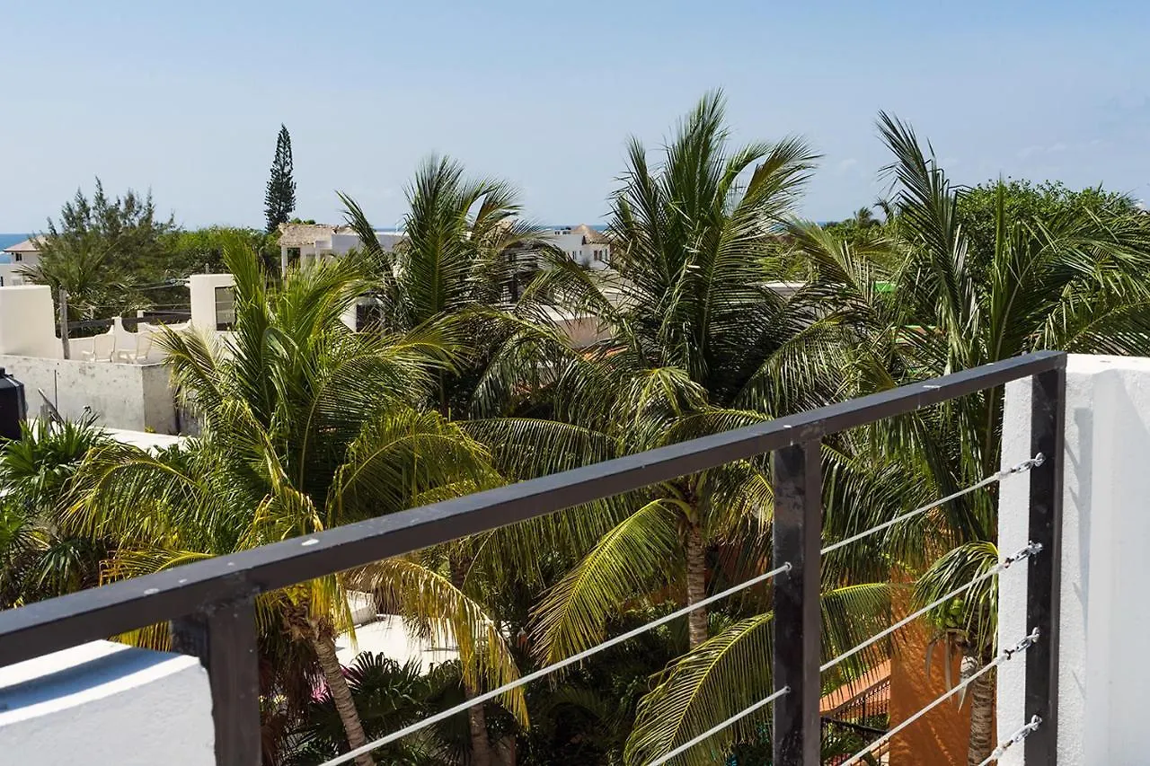 Casa Palma, Puerto Morelos Apartment